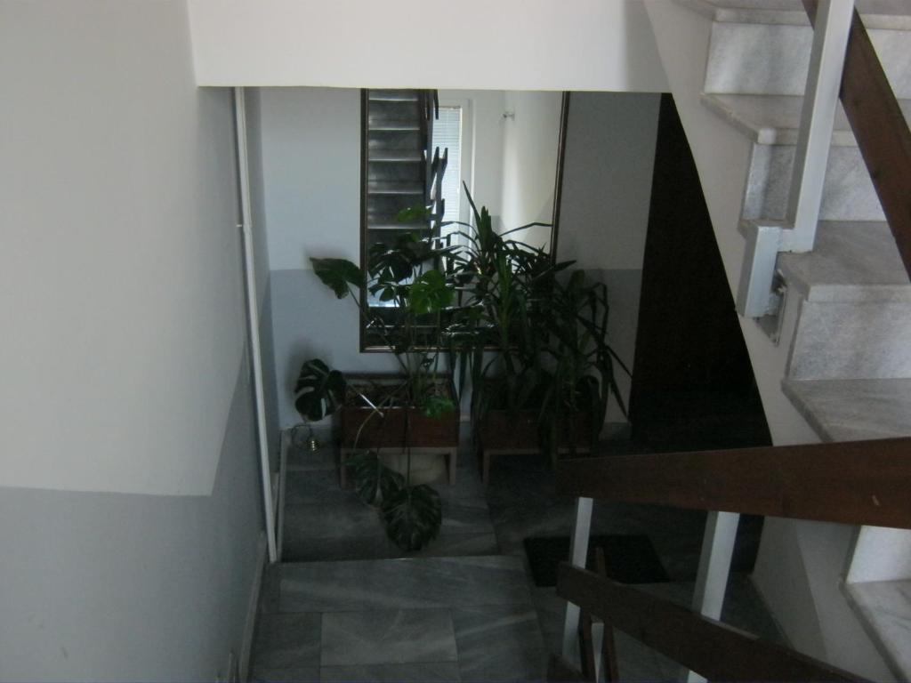 סקופיה Hostel Bimbo מראה פנימי תמונה